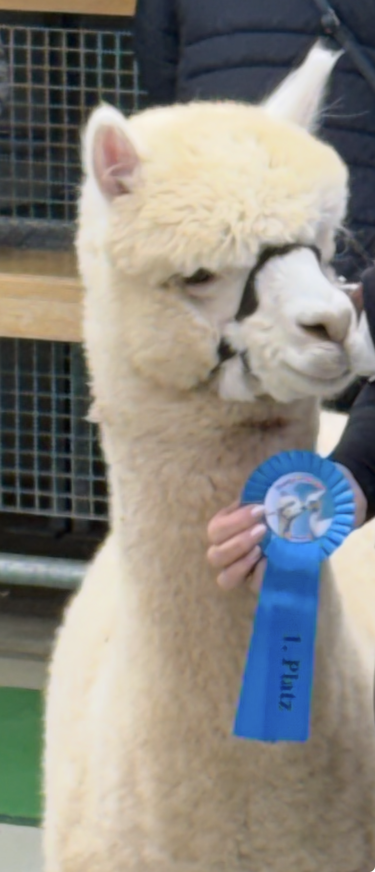 aramis pl 1 bayreuth